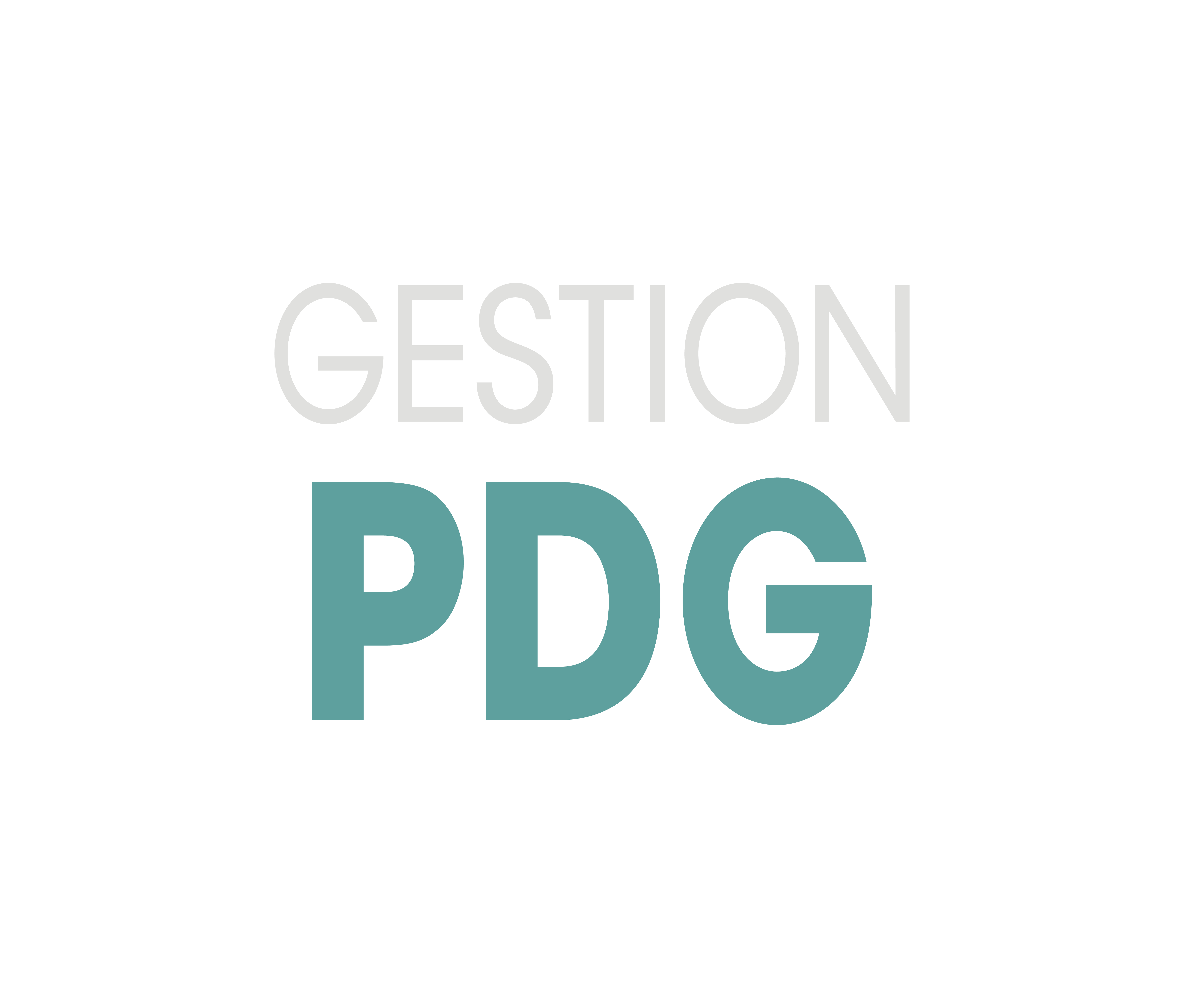 Gestion PDG 